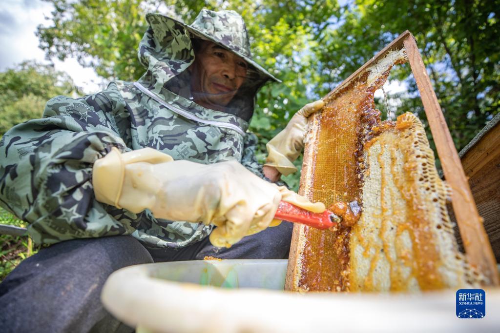 澳门新普京官网